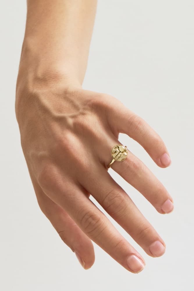 Healing & Rebirth Cristina Ring, worn