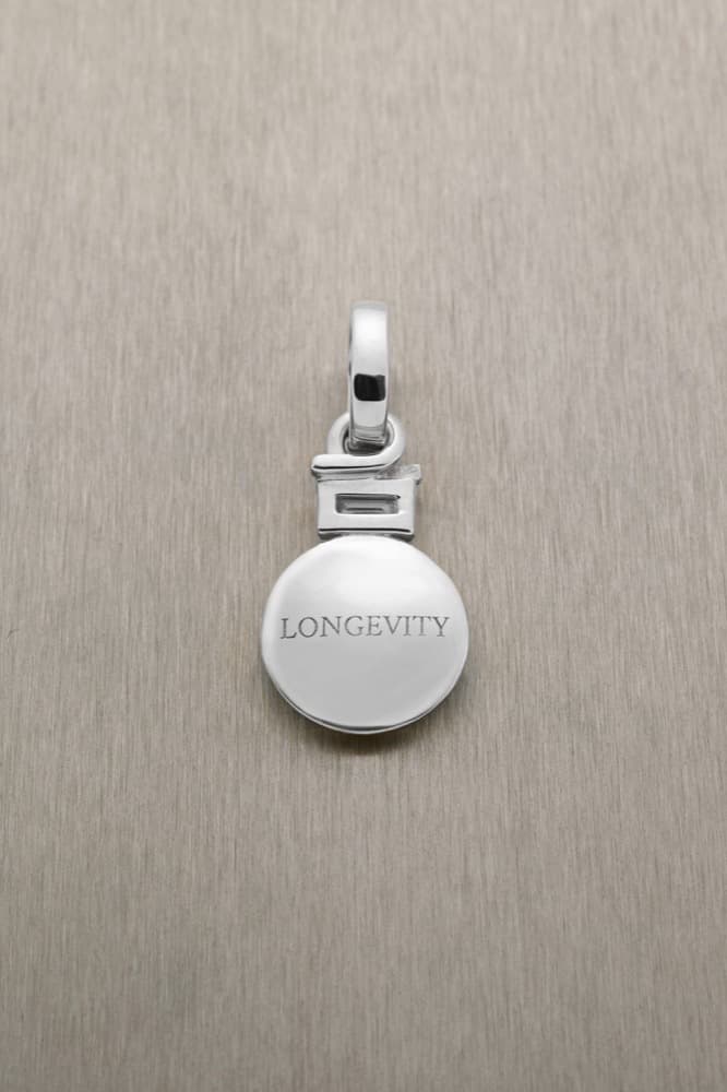 Longevity Pendant with Baguette Diamond — view 5