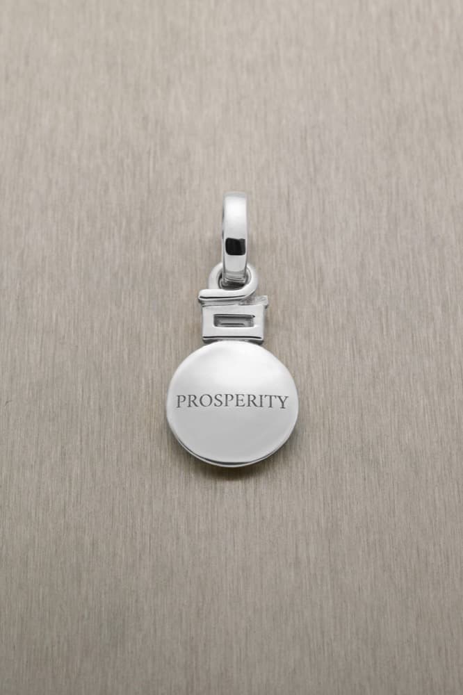 Prosperity Pendant with Baguette Diamond — view 5