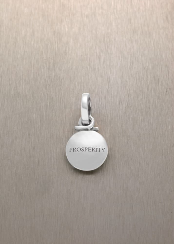 Prosperity Pendant — view 5